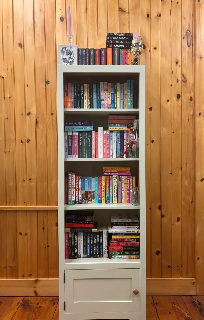 Book Shelf w/Storage